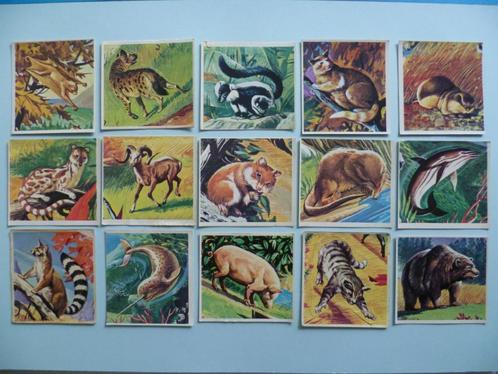 chromos Panini Super Zoo trading cards images stickers, Verzamelen, Overige Verzamelen, Gebruikt, Ophalen of Verzenden