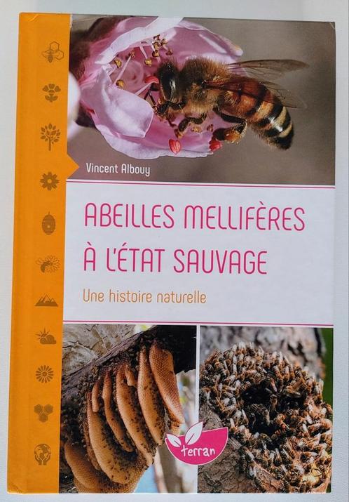 Abeilles mellifères à l'état sauvage de Vincent ALBOUY, Livres, Nature, Comme neuf, Autres sujets/thèmes, Enlèvement ou Envoi