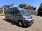 Roller Team Livingstone 2, Bus-model, Bedrijf, Diesel, Tot en met 3