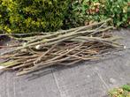 petit bois de chauffage/allumage/barbecue: prunus/catalpa .., Minder dan 3 m³, Ophalen, Overige houtsoorten, Takken