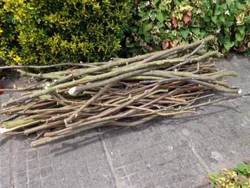 petit bois de chauffage/allumage/barbecue: prunus/catalpa .. beschikbaar voor biedingen