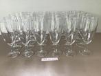 24 identieke champagne glazen van 15 cm hoog, Glas, Zo goed als nieuw, Ophalen