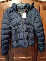 Superdry jas Maat M nieuw, Maat 38/40 (M), Nieuw, Ophalen of Verzenden, Superdry