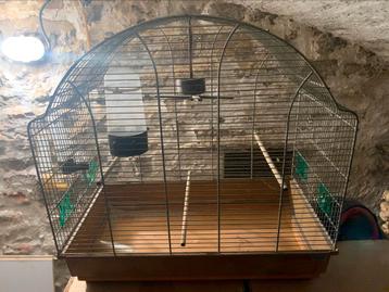 Cage à oiseaux grise – 55 x 55 x 30 cm beschikbaar voor biedingen