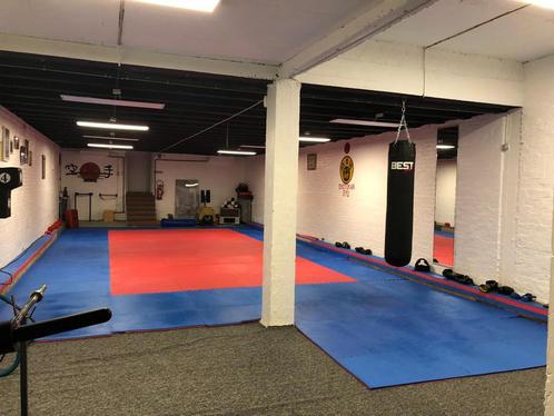 Location d’un complex sportif ou dépôt de 2 étages 500m2, Immo, Huizen te huur, Brussel, Benedenwoning, D