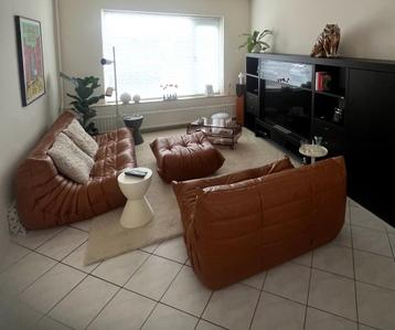 Togo Ligne Roset Cognac beschikbaar voor biedingen