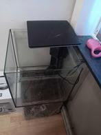 Aquarium 60L, Dieren en Toebehoren, Ophalen