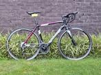 Nieuw! Wilier Luna koersfiets, 28 inch, Dames, Ophalen, Overige merken