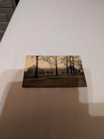 Thienen, Ophalen of Verzenden, Ongelopen