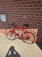 Eddy Merckx Strada, Ophalen