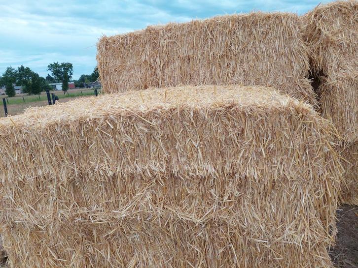 stro en hooi geleverd !!, Zakelijke goederen, Landbouw | Veevoer, Ophalen