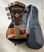 Elektro-akoestische Washburn gitaar + tas, Muziek en Instrumenten, Ophalen of Verzenden, Zo goed als nieuw, Hollow body, Overige merken