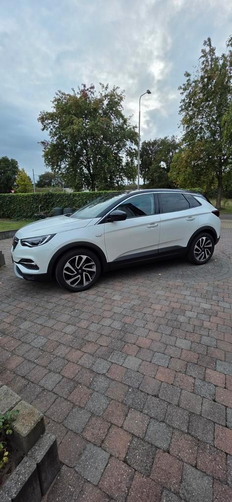 Opel Grandland X, Auto's, Opel, Particulier, Ophalen