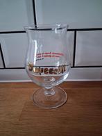 Duvel 2007, Verzamelen, Ophalen of Verzenden, Zo goed als nieuw, Duvel
