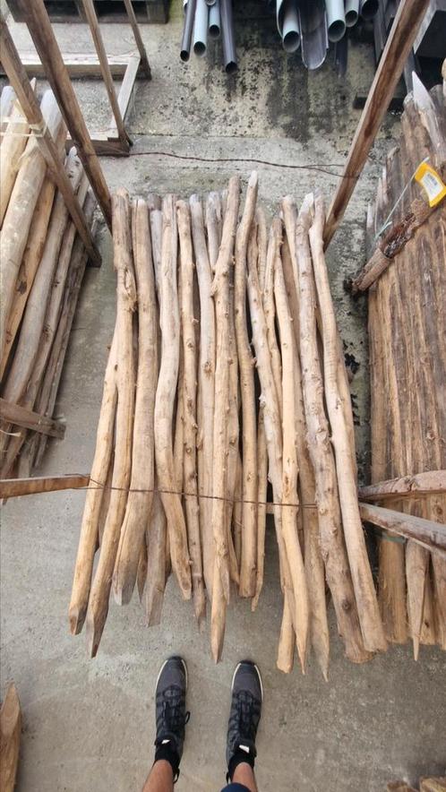 Acacia ronde palen, ontschorst, Doe-het-zelf en Bouw, Hout en Planken, Nieuw, Overige houtsoorten, Minder dan 200 cm, Ophalen