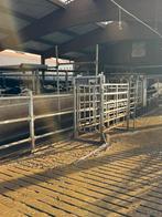 240 koeien van bedrijfsbeëindiging, Vrouwelijk, 0 tot 2 jaar