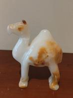 chameau marbré, Enlèvement