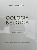 Livres Ornithologie, Livres, Enlèvement, Utilisé, Oiseaux, R. Verheyen