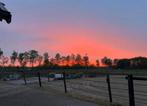 Pensionstalling paddock paradise nistelrode, Weidegang, 4 paarden of pony's of meer