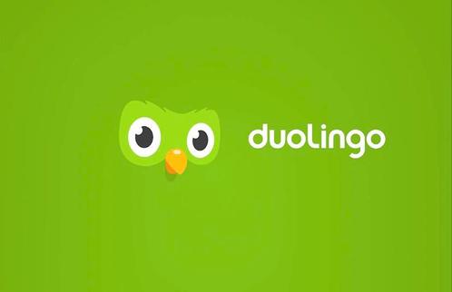 Duolingo Plus Levenslang toegang, Computers en Software, Educatie- en Cursussoftware, Nieuw, Ophalen