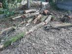 Hout, Tuin en Terras, Brandhout, Ophalen