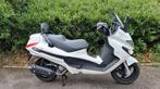 Permis de conduire Piaggio X-Evo 125cc 125km/h B, Scooter, Particulier, 1 cylindre, 125 cm³