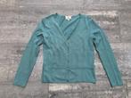 Gilet Donaldson M, Kleding | Dames, Maat 38/40 (M), Blauw, Donaldson, Ophalen of Verzenden