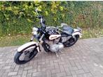 Harley davidson, Motoren, Particulier