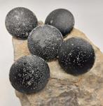 Panzerknoppe allemand de la Seconde Guerre mondiale, Collections, Enlèvement ou Envoi, Armée de terre, Vêtements ou Chaussures