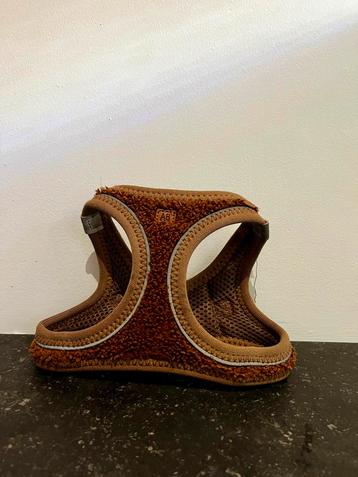 Animal boulevard harnasje beschikbaar voor biedingen