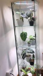 Vitrinekast met lampen voor planten, Huis en Inrichting, Ophalen
