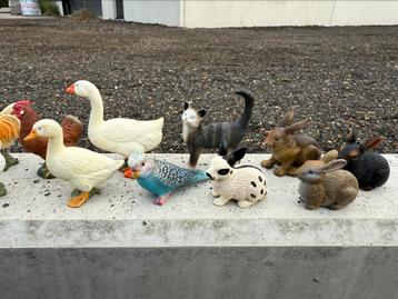 Sleich verschillende dieren beschikbaar voor biedingen