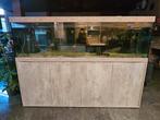 Aqualantis aquarium 2m, Dieren en Toebehoren, Ophalen, Zo goed als nieuw, Leeg aquarium