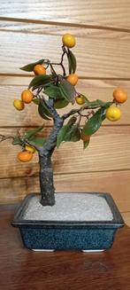 Decoratief appelsienboompje, Ophalen of Verzenden, Gebruikt