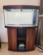 Aquarium Juwel vision 180L, Dieren en Toebehoren, Ophalen, Zo goed als nieuw