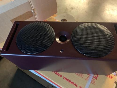 PSI A214, Audio, Tv en Foto, Luidsprekerboxen, Nieuw, Front, Rear of Stereo speakers, 120 watt of meer, Bowers & Wilkins (B&W)