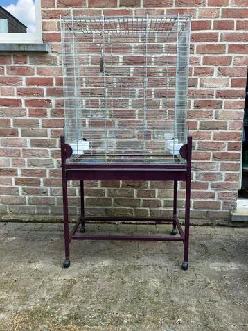 VOGELKOOI VOOR VALKPARKIETEN NU 80 EURO beschikbaar voor biedingen