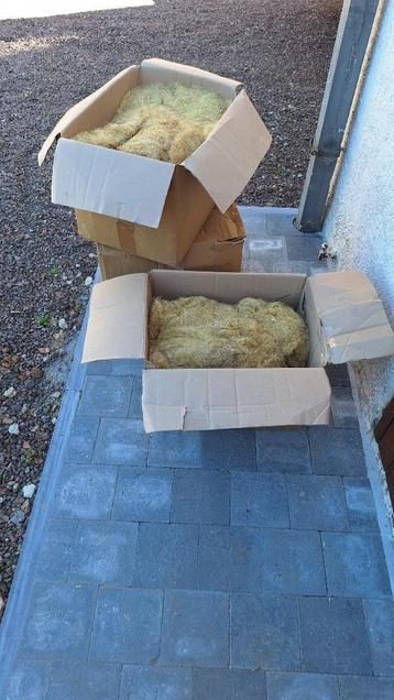chanvre beschikbaar voor biedingen