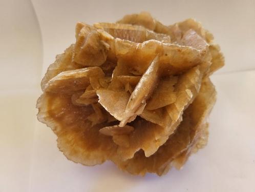 Woestijnzandroos 12 x 11 cm, Verzamelen, Mineralen en Fossielen, Ophalen of Verzenden