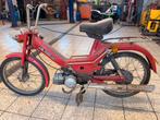 Puch maxi, Motos, Particulier