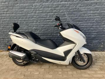 honda forza 300 2014 8712km met garantie beschikbaar voor biedingen
