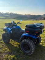 Quad CFMOTO, Motoren, Quads en Trikes, 493 cc