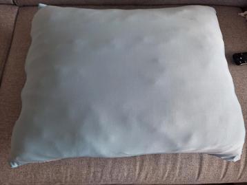 Kussen 50x60cm in heel goede staat.  beschikbaar voor biedingen