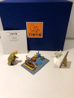 Tintin pixi, Tintin