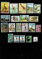 THEMA DIEREN GIRAFFEN 20 POSTZGELS GESTEMPELD - ZIE SCAN, Postzegels en Munten, Postzegels | Thematische zegels, Dier of Natuur