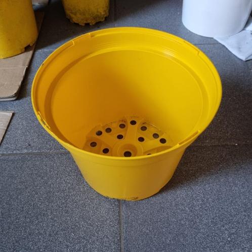 kweekpotten 17 cm en 23 cm, Tuin en Terras, Planten | Tuinplanten, Overige soorten, Bloeit niet, Ophalen