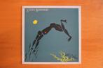 LP Vinyl Plaat STEVE WINWOOD Arc of a diver (1980), Enlèvement, Utilisé, Chanteur-compositeur