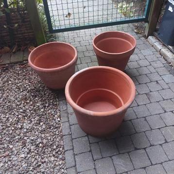 Grote bloempotten beschikbaar voor biedingen
