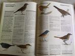 boek: de wereld van de vogels (Spectrum natuurgids), Boeken, Natuur, Verzenden, Zo goed als nieuw, Vogels