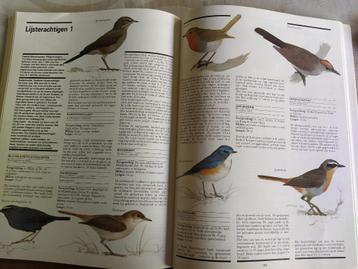 boek: de wereld van de vogels (Spectrum natuurgids) beschikbaar voor biedingen